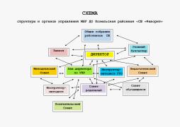 СХЕМА
структуры и органов управления МБУ ДО Козельская районная «СШ «Фаворит»